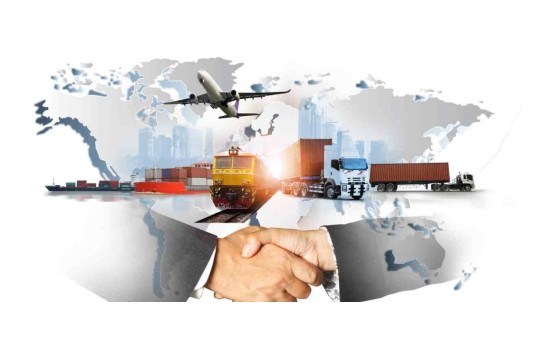 TF201 Export-Import Documentation and Processes