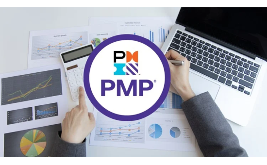 PRO014 Project Management Professional PMP 6th Edition
