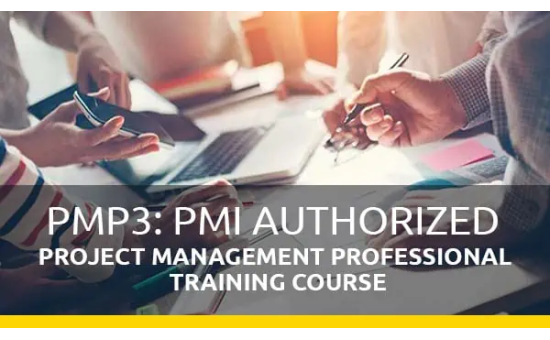 PRO013 Project Management Professional PMI PMP V7
