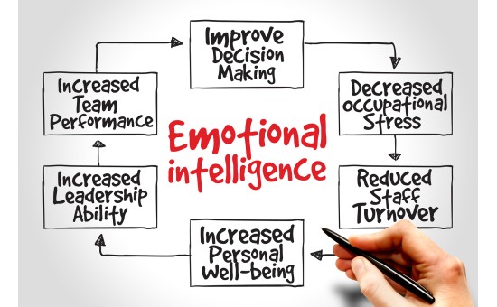 Emotional Intelligence