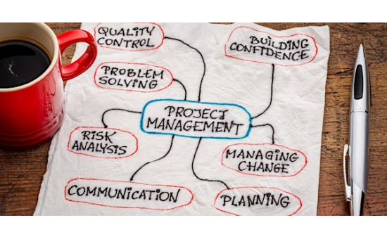PRO012 Project Management Essentials