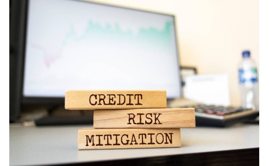 TF103 Credit Risk Management and Mitigation